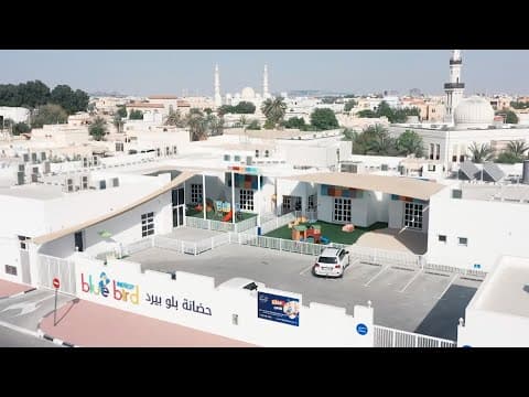Video 16
