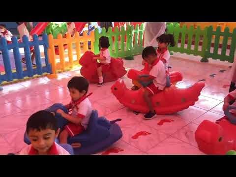 Video 14