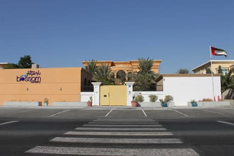 Blossom Barsha 2