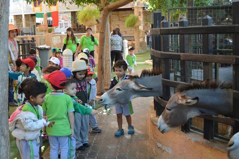 Spring Fields Nursery - Image 20