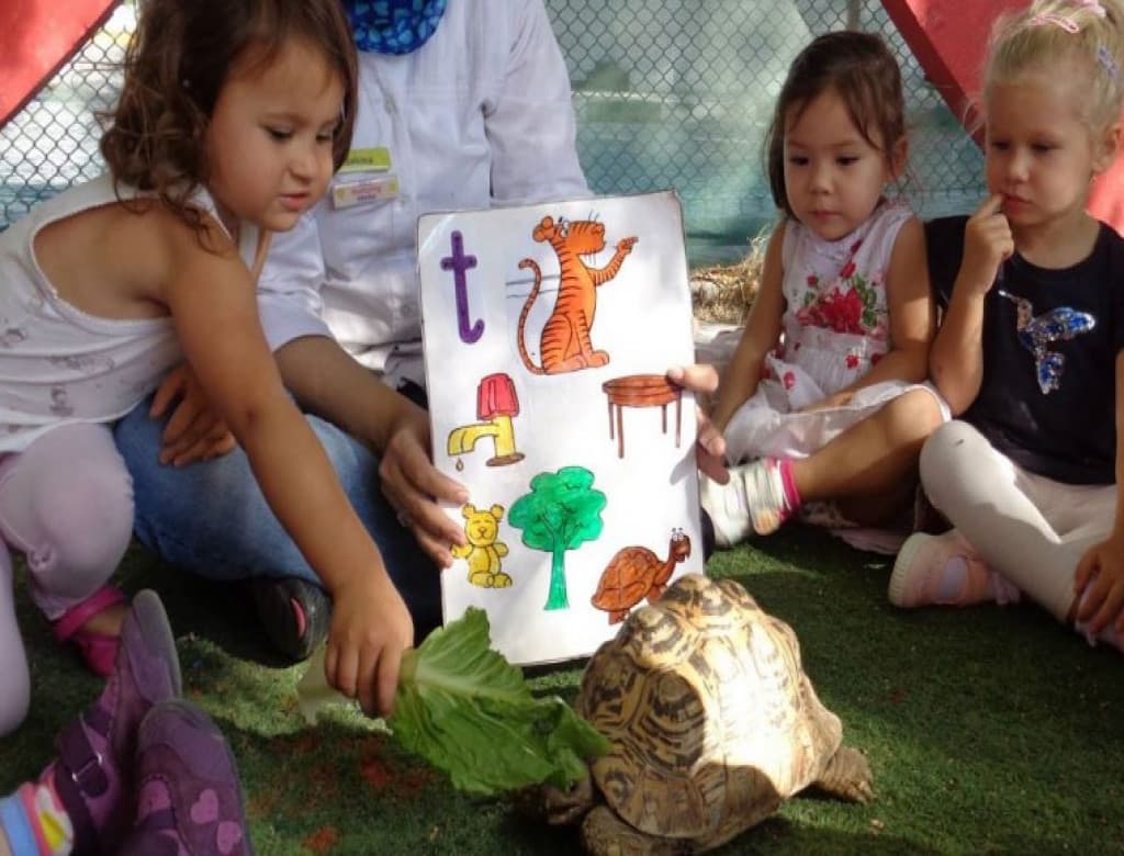 Yellow Brick Road Nursery - Image 2