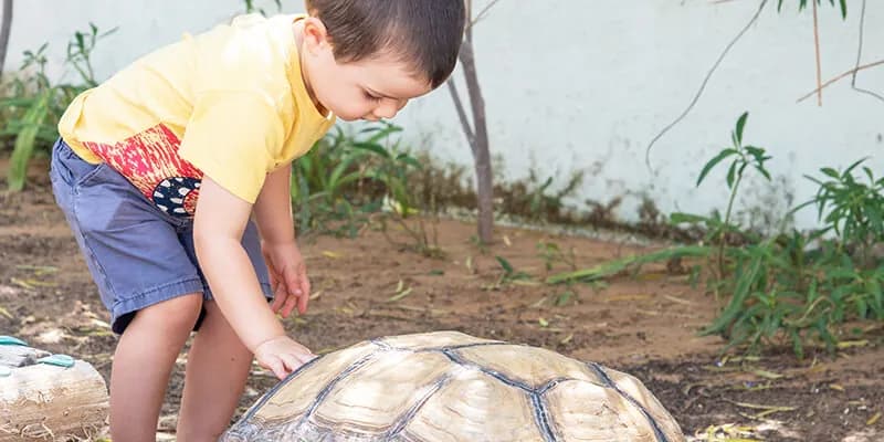 Yellow Kite Nursery
