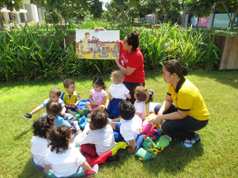 Honey Bee Nursery - Image 3