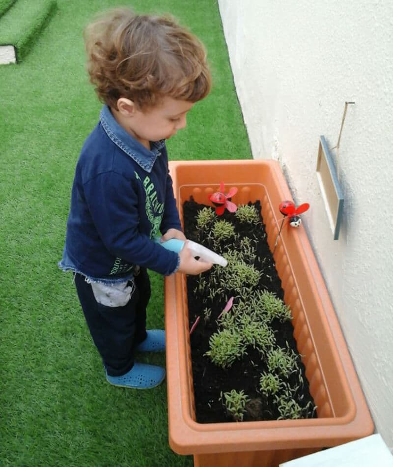 Ladybird Nursery Abu Dhabi - Image 4