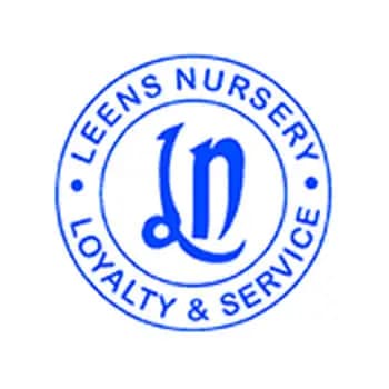 Leens Kindergarten and School