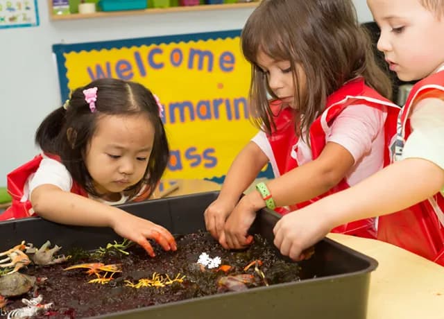 Mosaic Nursery - Image 6