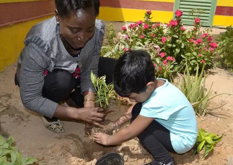 Noah's Ark Nurseries - Image 20