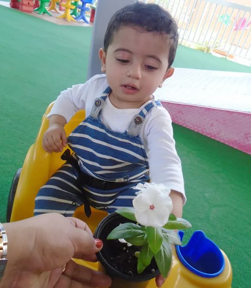 Noah's Ark Nurseries - Image 5